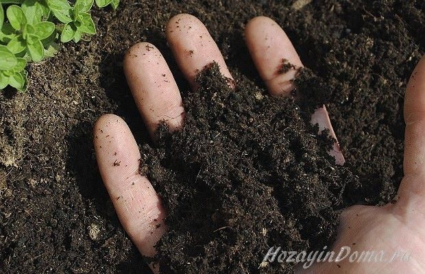 почва для растений 